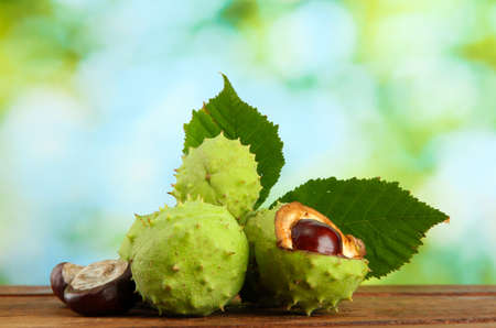 Chestnuts with leaves on wooden table on green backgroundの写真素材