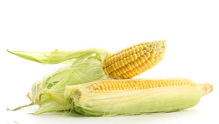 fresh corn, isolated on whiteの写真素材