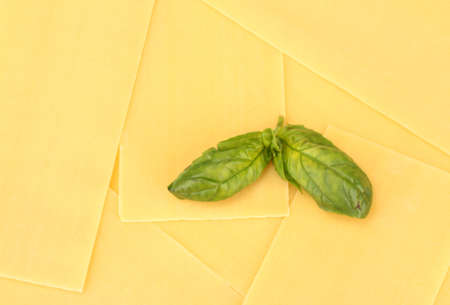 Uncooked lasagna pasta backgroundの写真素材