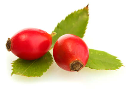 ripe hip roses on green leaves, isolated on whiteの写真素材