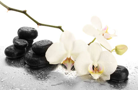 Spa stones and orchid flowers, isolated on white
の写真素材