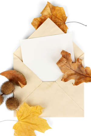 Old envelope with blank paper and autumn leafs isolated on whiteの写真素材