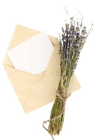 Old envelope with blank paper and lavender isolated on whiteの写真素材
