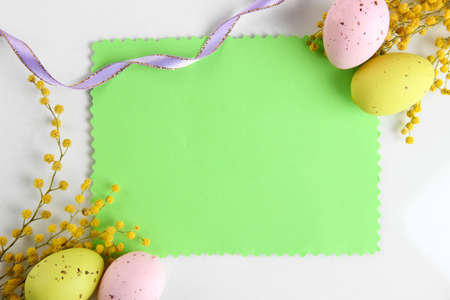Empty card with easter eggs and mimosa flowers, isolated on whiteの写真素材