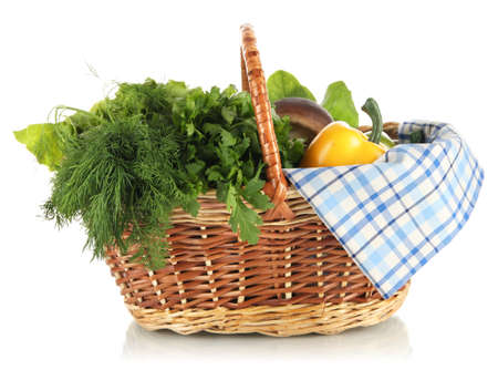Useful herbs isolated on whiteの写真素材