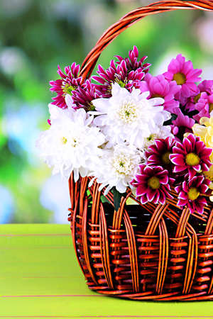 Bouquet of beautiful chrysanthemums in wicker basket on table on bright backgroundの写真素材