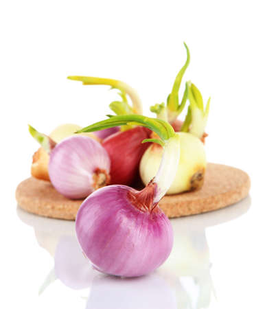 Sprouting onions on board isolated on whiteの写真素材