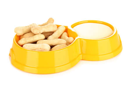 Dry dog treats in bowl isolated on whiteの写真素材