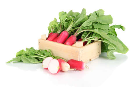 Small garden radish with leaves isolated on whiteの写真素材
