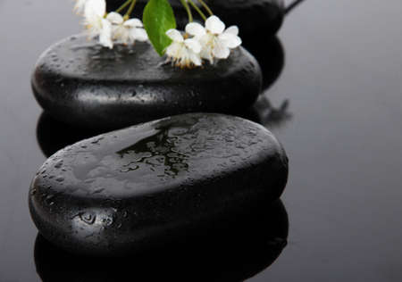 Spa stones and white flowers on dark backgroundの写真素材