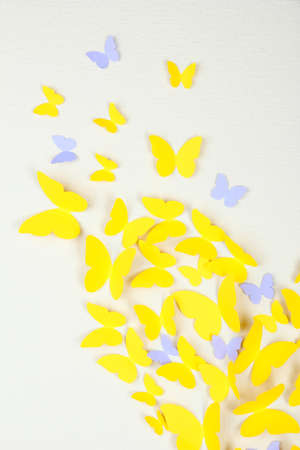 Paper yellow butterfly in form of heart on wallの写真素材