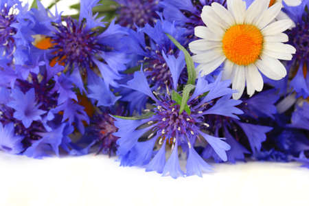 Beautiful bouquet of cornflowers and chamomiles ,isolated on whiteの写真素材