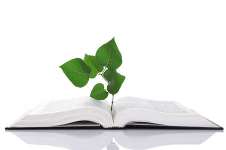 Book with plant isolated on whiteの写真素材