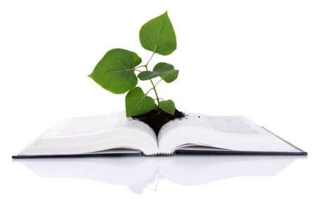 Book with plant isolated on whiteの写真素材