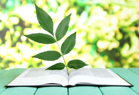 Book with plant on table on bright backgroundの写真素材