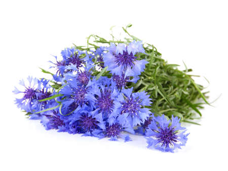 Beautiful bouquet of cornflowers ,isolated on whiteの写真素材