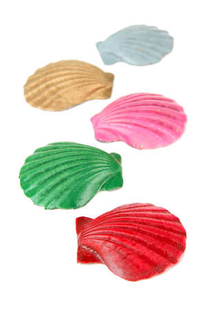 Colorful seashells, isolated on whiteの写真素材
