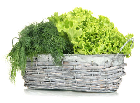 Useful herbs isolated on whiteの写真素材