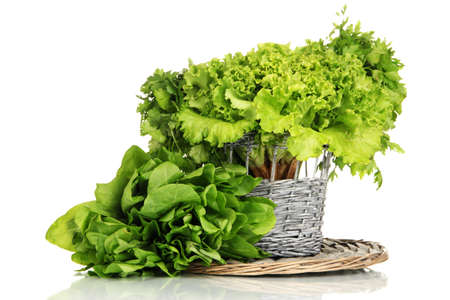 Useful herbs isolated on whiteの写真素材
