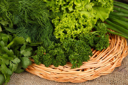 Useful herbs close upの写真素材
