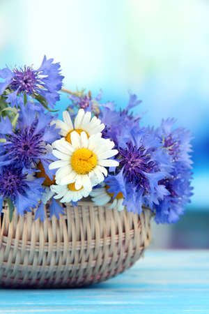 Beautiful bouquet of cornflowers and chamomiles in basket on blue backgroundの写真素材