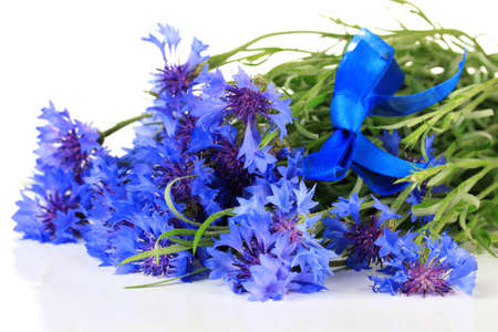 Beautiful bouquet of cornflowers ,isolated on whiteの写真素材