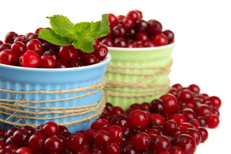 Ripe red cranberries in bowls, isolated on white
の写真素材