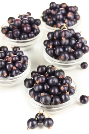 Fresh black currant isolated on whiteの写真素材