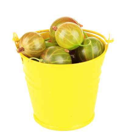Fresh gooseberries in bucket isolated on whiteの写真素材