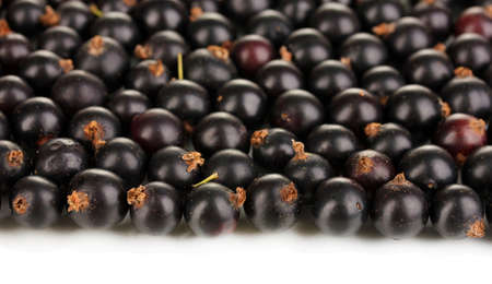 Fresh black currant isolated on whiteの写真素材