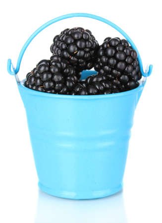 Sweet blackberries in bucket isolate on whiteの写真素材