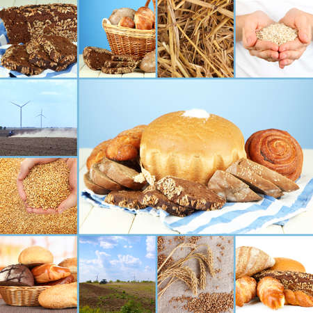 Bread and harvesting wheat collageの写真素材