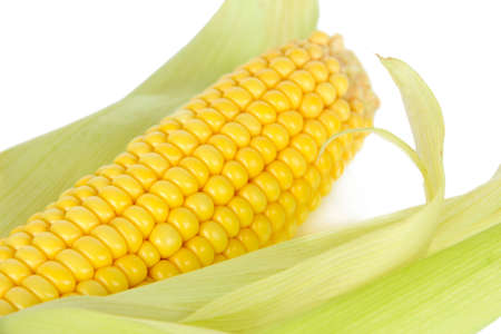 Crude corn isolated on whiteの写真素材