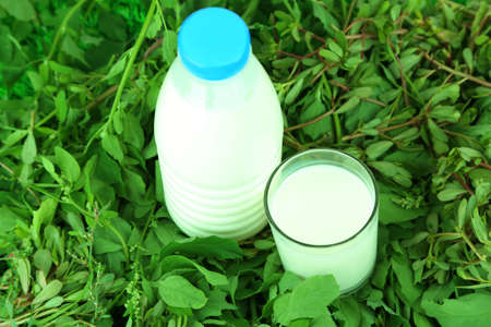 Glass of milk and bottle of milk on grassの写真素材