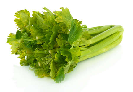 Fresh green celery isolated on whiteの写真素材