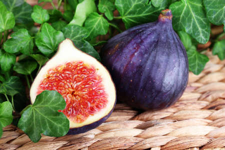 Ripe figs in leaves close-upの写真素材