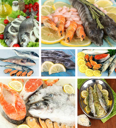Fresh fish and fish dishes collageの写真素材