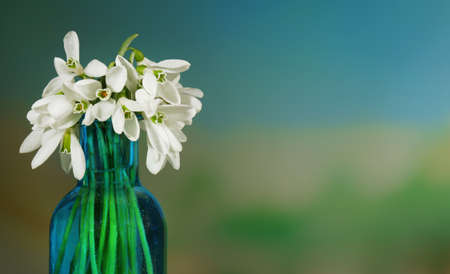 Beautiful snowdrops in bottle, on nature backgroundの写真素材