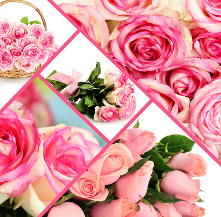 Collage of pink roses closeupの写真素材
