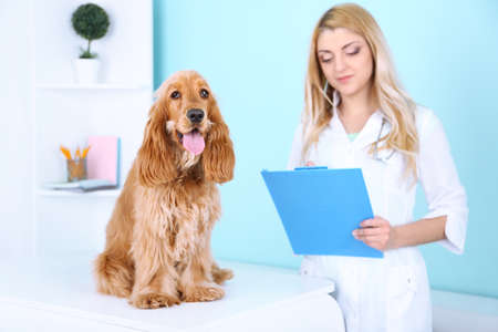 Beautiful young female veterinarian with dog in clinicの写真素材
