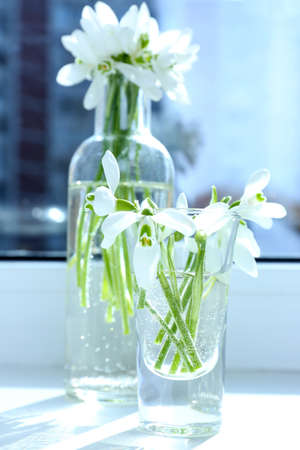 Beautiful bouquets of snowdrops in vases on windowsillの写真素材