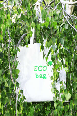 Eco bag on with green leaves, outdoorsの写真素材