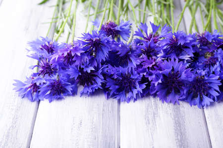 Beautiful cornflowers on wooden backgroundの写真素材