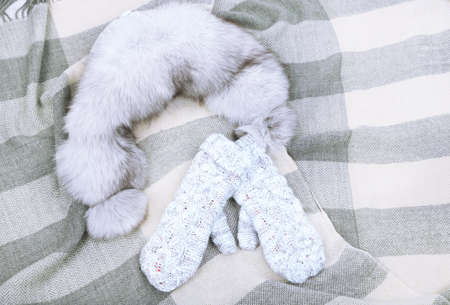 Winter cap and gloves,  on color backgroundの写真素材