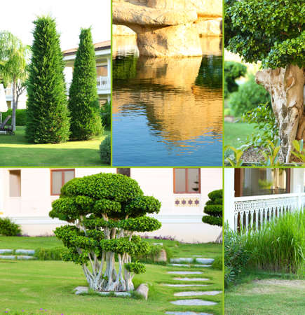 Collage of beautiful nature landscapingの写真素材