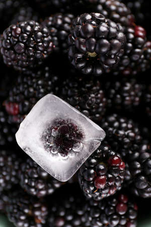 Sweet blackberries close-upの写真素材