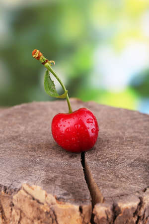 Ripe sweet cherry on stump, outdoorsの写真素材