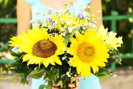 Beautiful bouquet of sunflowers in female handsの写真素材