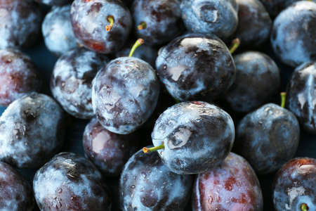 Ripe sweet plums, close upの写真素材