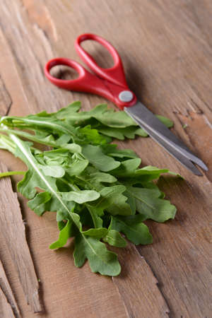 Arugula on table close-upの写真素材